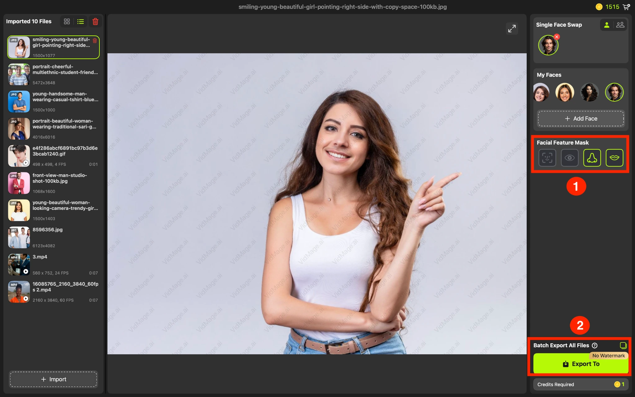 VidMage Mac app single face swap export to