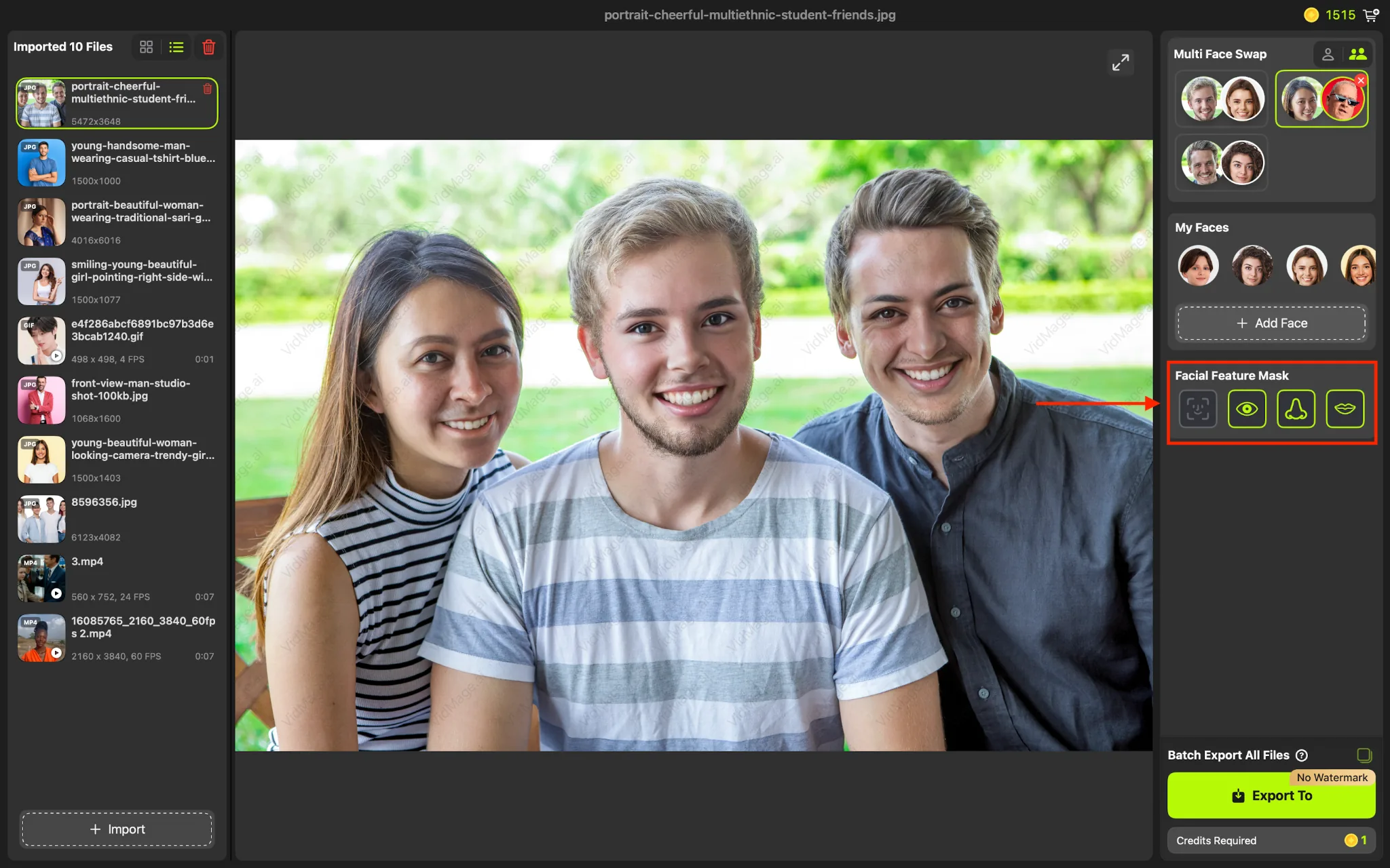 VidMage Mac app group face swap choose facial features