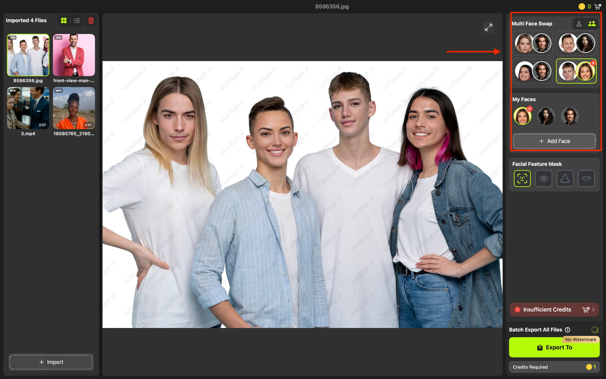 VidMage Mac add faces