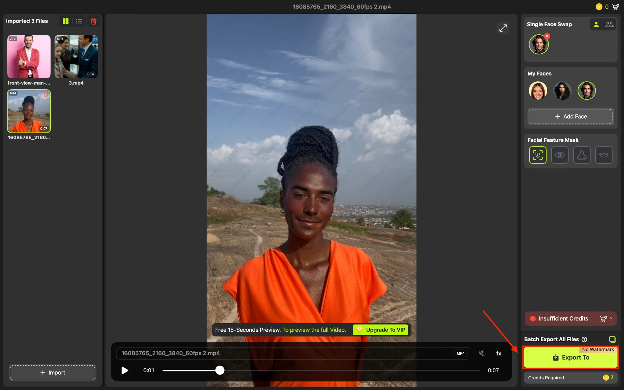VidMage offline export to